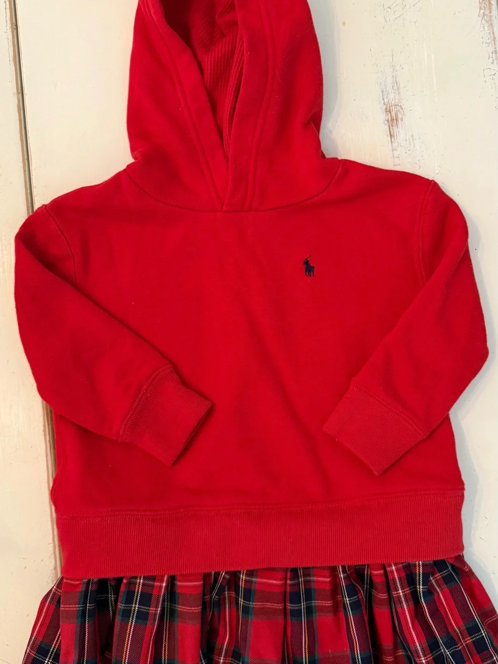 Polo by Ralph Lauren Red Kids Hooded Sweatshirt with Navy Pony